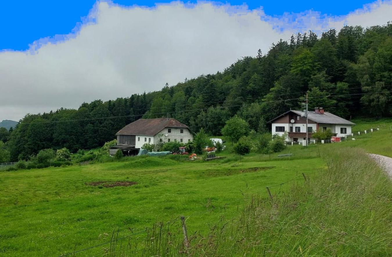 Kriegwald Apartements * Julbach